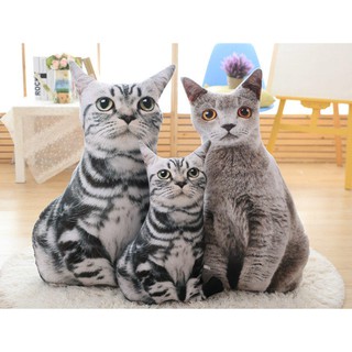 ☆模擬3D貓咪小貓抱枕/長抱枕/動物抱枕/午安枕/靠腰枕/玩偶/聖誕禮物生日/情人節畢業禮品禮物