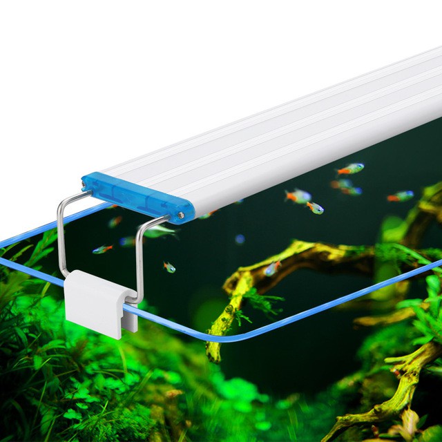 110v超薄水族燈藍白光照明燈水草造景生態魚缸led水族燈座燈管 蝦皮購物