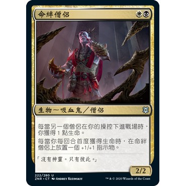 桌遊部落 魔法風雲會 贊迪卡再起命絆僧侶cleric Of Life S Bond 蝦皮購物