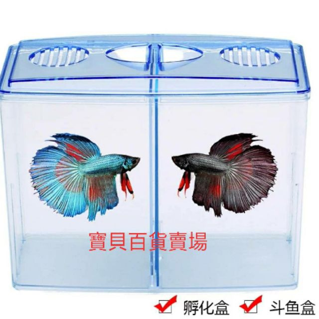 鬥魚飼育盒的價格推薦第5 頁 21年11月 比價比個夠biggo
