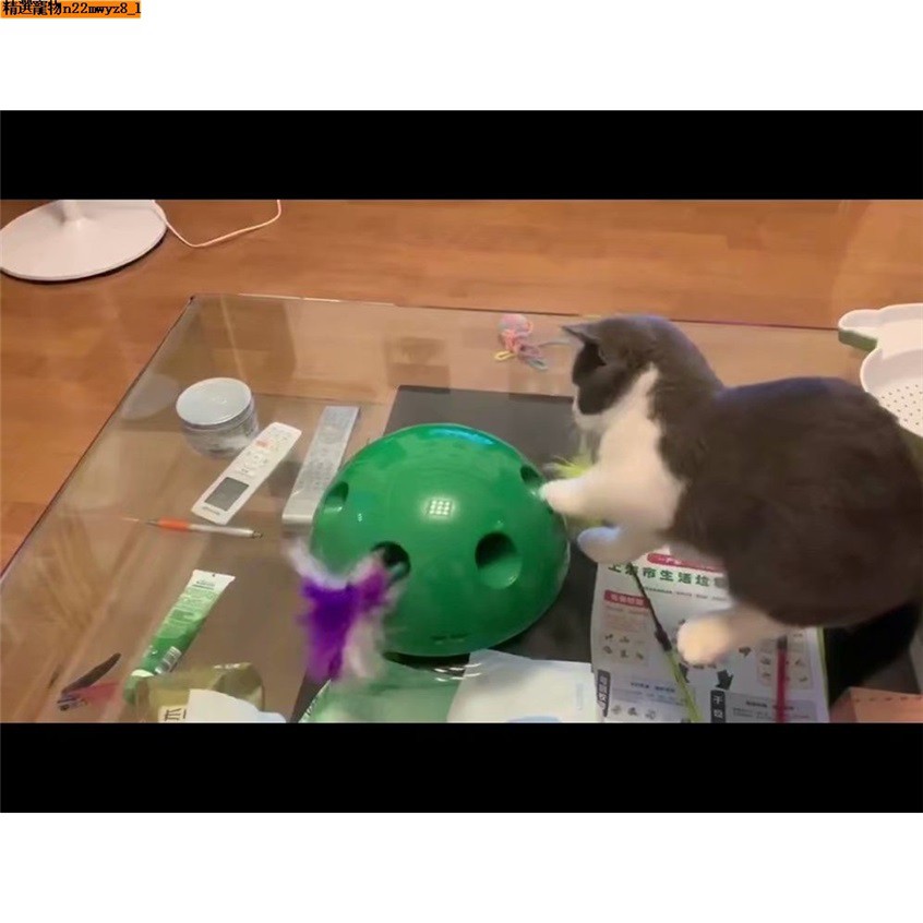 意老鼠加羽毛加魚3小滾動貓咪益智用品 創能貓玩具 自動逗貓球貓咪玩具 寵物電動智玩具 充電款