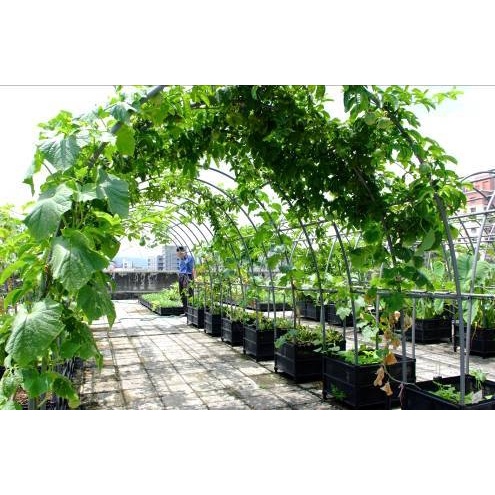 育材 開心田園樂 綠色隧道栽培組 空中菜園家庭菜園頂樓種菜露臺種菜城市田園綠色隧道溫室栽培免彎腰組合 蝦皮購物