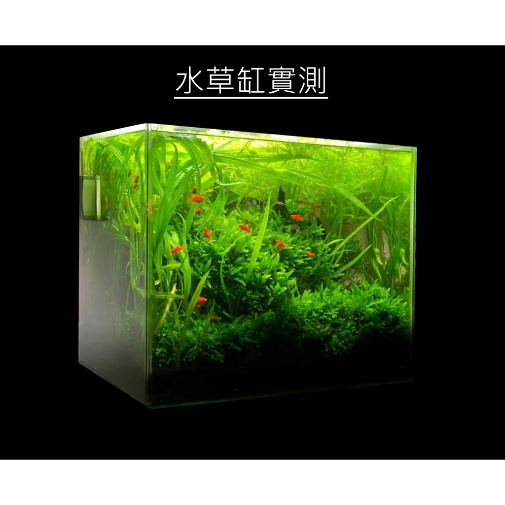 Tpn 液肥的價格推薦 22年7月 比價比個夠biggo