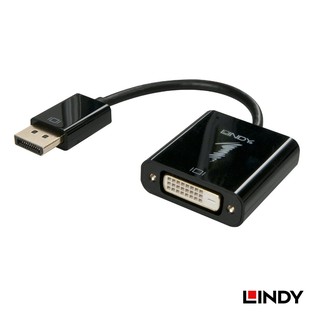 LINDY 林帝 41734 - 主動式 DISPLAYPORT 轉 DVI 轉接器 大洋國際電子