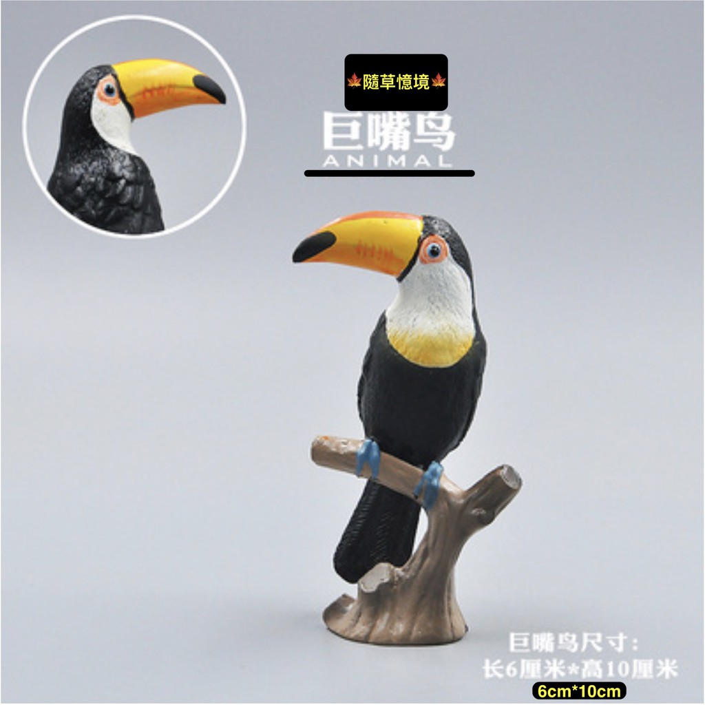 巨嘴鸟 優惠推薦 21年3月 蝦皮購物台灣