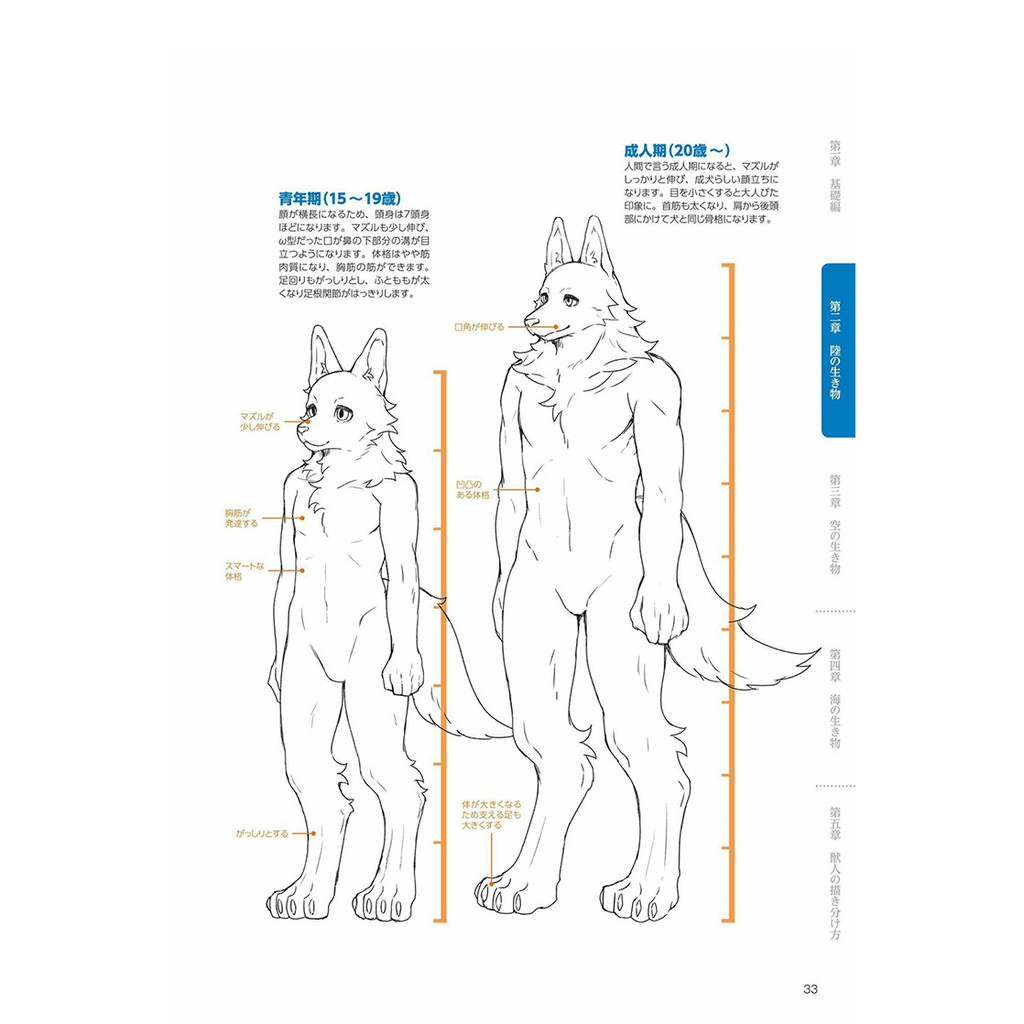 獣人の描き方獸人的畫法教程繪畫技法資料魔物臨摹參考cg素材圖 蝦皮購物