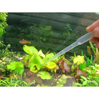 有刻度 巴氏滴管3cc 豐年蝦餵食 小滴管 水族疾病 多肉澆水 塑膠吸管 拋棄式滴管 3cc 3ml 小滴管