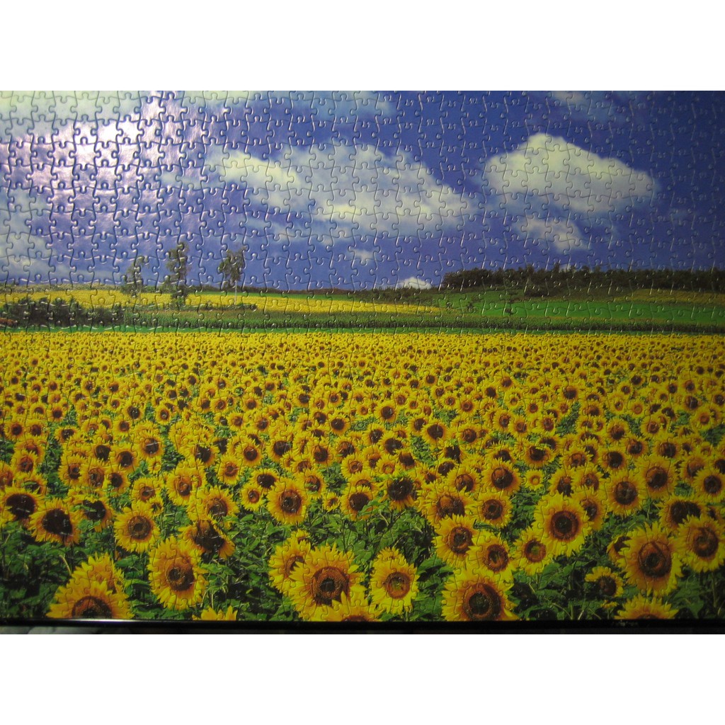 【二手拼圖】 向日葵 1000片 風景拼圖 益智 桌遊 玩具