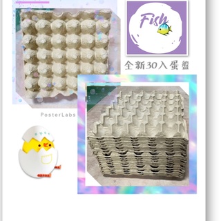 fish[全新]紙蛋盒-30入蛋盤💲4️⃣  杜比亞 蟋蟀底材 爬蟲養殖