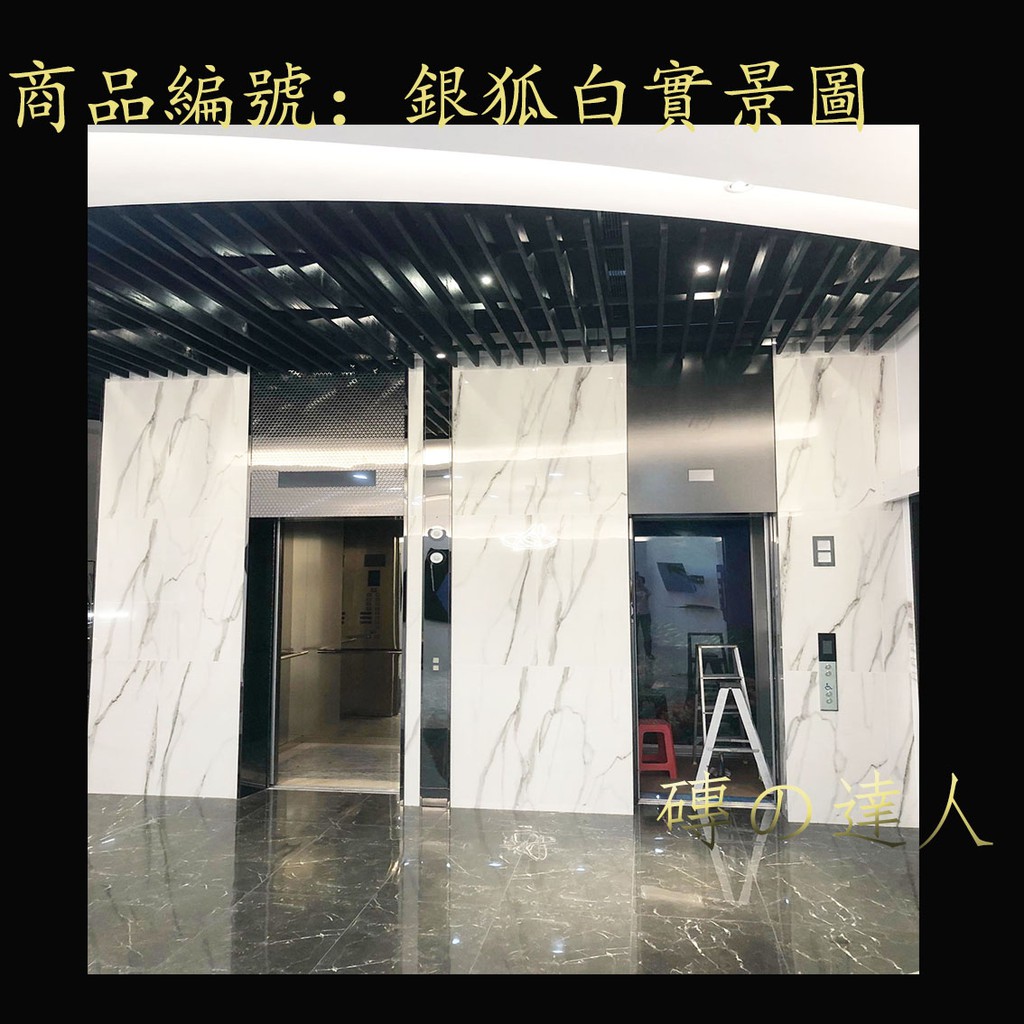 磚の達人 磁磚 60cm 1cm 銀狐系列全釉拋室內地壁磚 電視牆 蝦皮購物