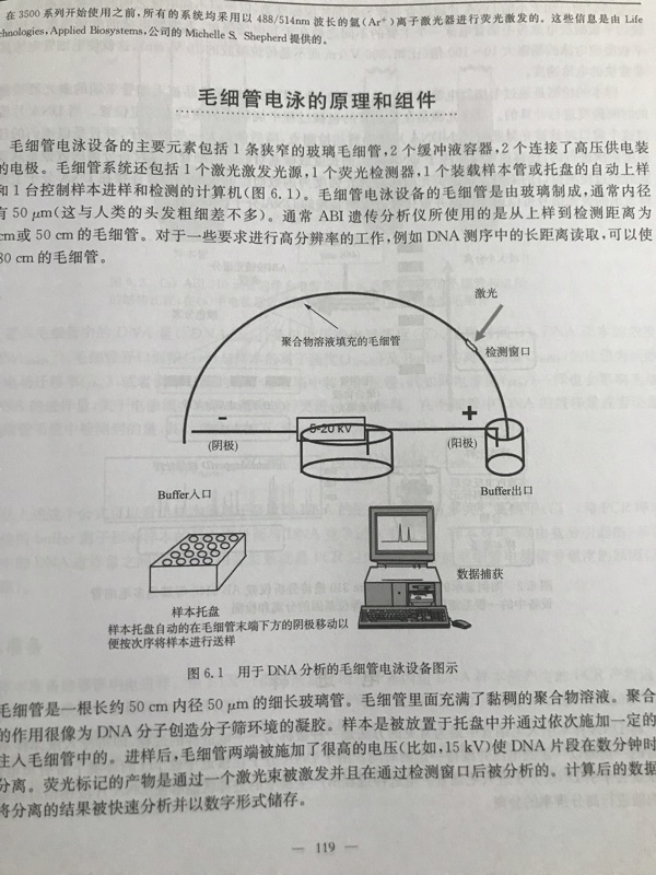 刑事鑑識科學 生物鑑識中文版 附英文原文對照版 蝦皮購物
