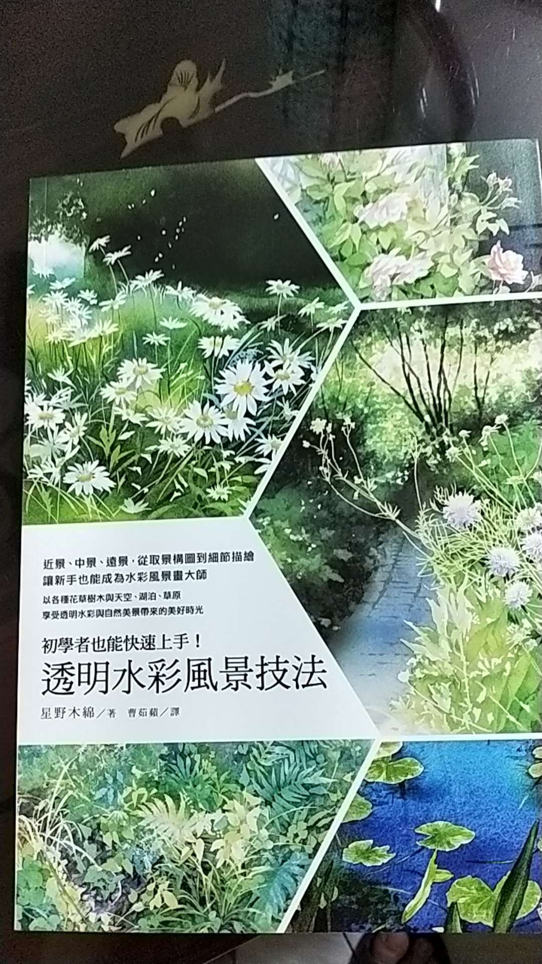 阿飛小店 75折 初學者也能快速上手 透明水彩風景技法星野木綿 著東販出版 蝦皮購物