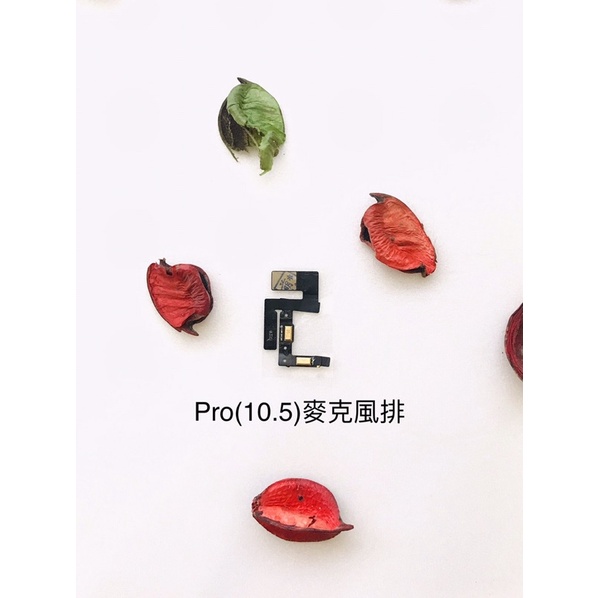 台灣現貨 快速出貨 iPad Pro(10.5)-A1701/A1709拆機麥克風排線