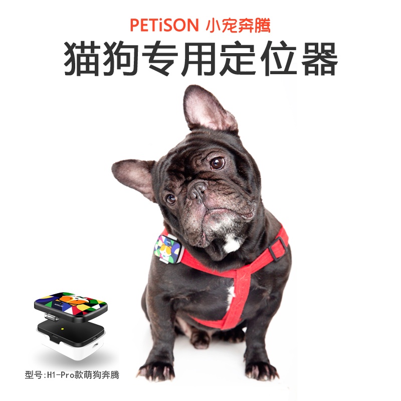 寵物追蹤器Gps的價格推薦- 2021年11月 比價比個夠BigGo