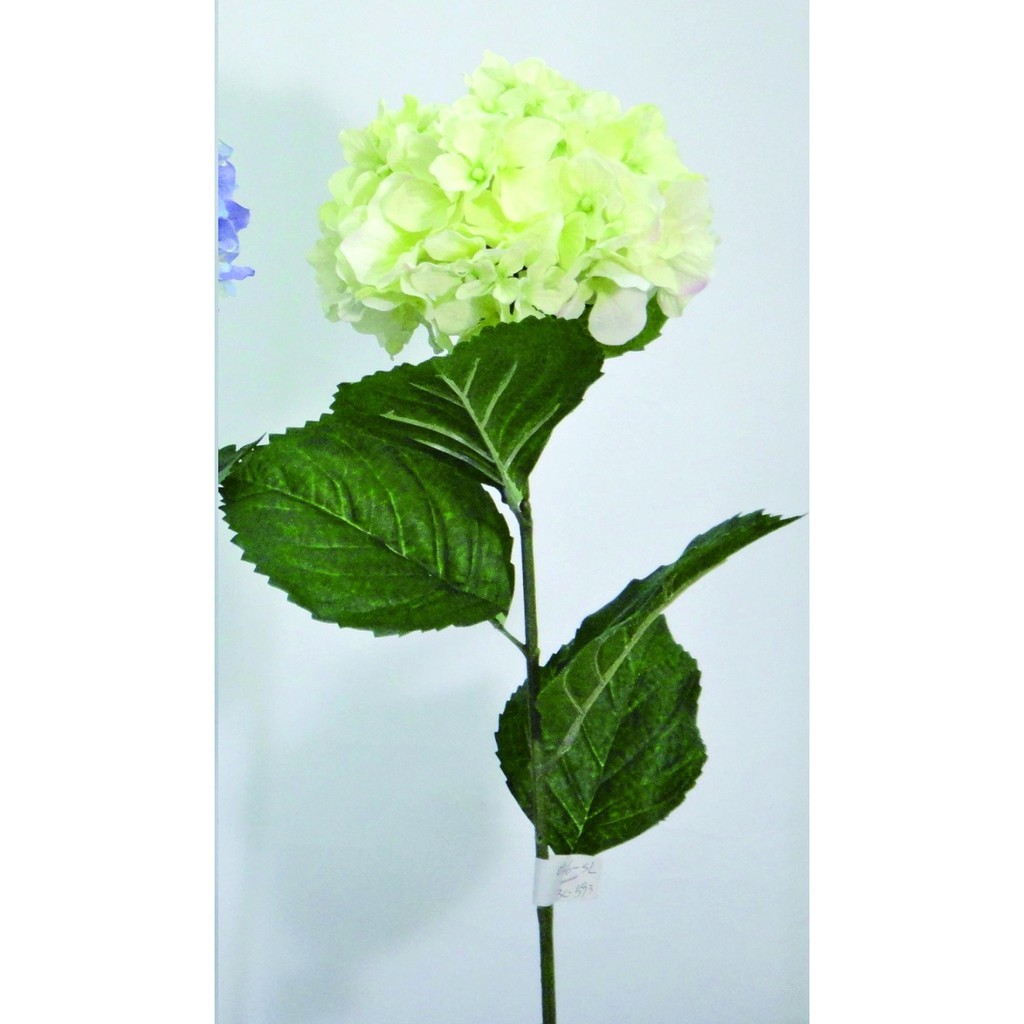 勁果uj 31吋繡球花 乳白色 紫陽花 洋繡球 人造花 假花 餐廳百貨櫥窗佈置 園藝 浪漫氛圍 攝影素材 花園佈置 蝦皮購物