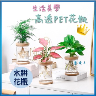 臺灣現貨✨B198 水耕瓶 PET水耕瓶 水耕容器 水耕花器 塑膠瓶 花瓶 花器 魚菜共生 水耕植物 盆栽 水耕空瓶