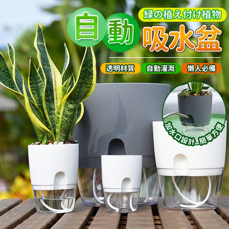 自動吸水花盆 台灣出貨 懶人花盆水培吸水花盆容器自動吸水透明花盆雙層儲水懶人塑膠花盆 蝦皮團購 Qj1053