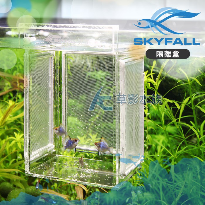 Ac草影 Skyfall 天賞二代掛缸式紗網隔離盒 一組 隔離小蝦母蝦產卵 蝦皮購物