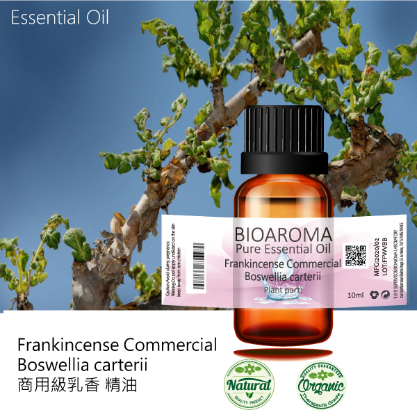 【正品現貨】藥用級乳香精油Frankincense Olibanum BP  100ml
