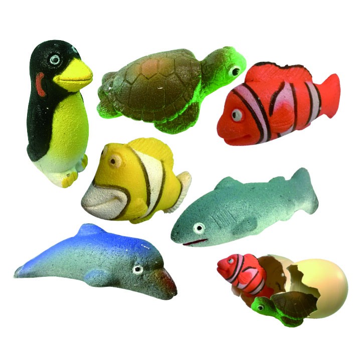 滿299免運 台灣現貨 海洋動物膨脹蛋玩具 孵化蛋玩具 企鵝蛋 小丑魚孵化蛋 新奇玩具 水族館紀念品 動物園紀念品 玩具