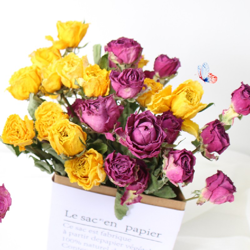 Typifyufn4 玫瑰干花花束ins北歐風小清新家居裝飾擺件薔薇多頭玫瑰干花真花 蝦皮購物