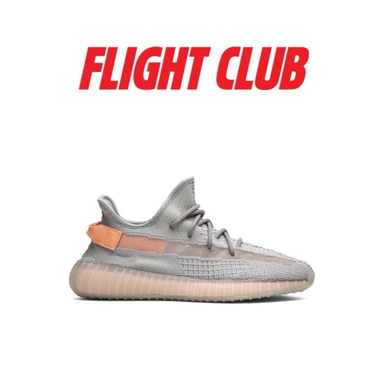 adidas yeezy boost 350 v2 true form eg7492