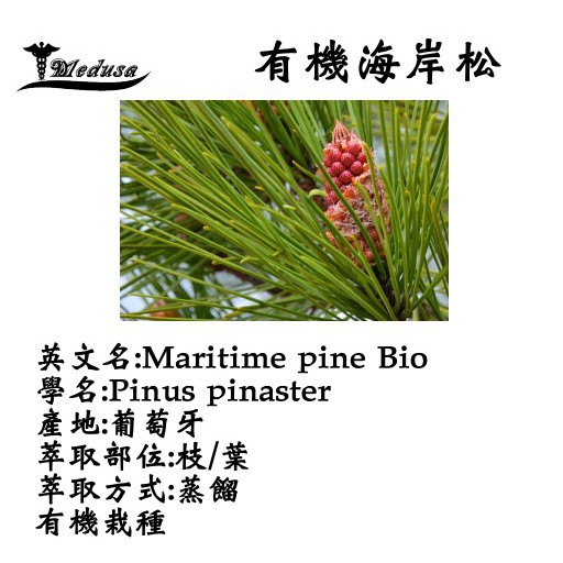 葡萄牙精油5ml 10ml 15ml 現貨 超值 100 精油 有機頭狀薰衣草 日本柳杉 海岸松 蝦皮購物