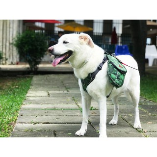 PETRICK Multi Harness 派翠克 全方位揹包胸背帶-迷彩款 L/XL號 適用大型犬
