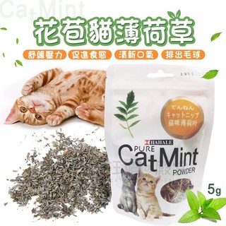 台中貓草的價格推薦 21年5月 比價撿便宜