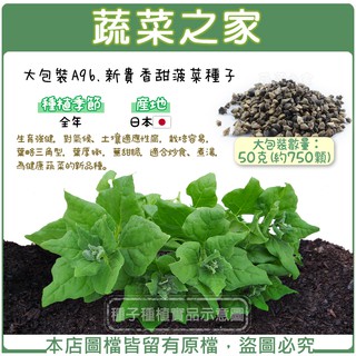 蔬菜之家滿額免運【00A96】大包裝.新貴香甜菠菜種子50克(約750顆)(生育強健，對氣候、土壤適應性廣，栽培容易，葉
