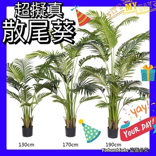 免運費❤️超美散尾葵❤️北歐 模擬葵樹 天竺葵 假綠植 綠色植物 盆栽 家居裝飾散尾葵樹 鳳尾葵