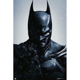 【DC】蝙蝠俠 Batman 阿卡漢起源 (特寫) 進口海報