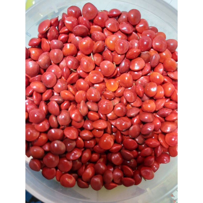 相思豆  大實孔雀豆   100顆60元【送瓶子】