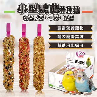 【歐洲LOLO】鸚鵡棒棒糖45g/90g 綜合水果/草莓/奇異果/蜂蜜/芒果