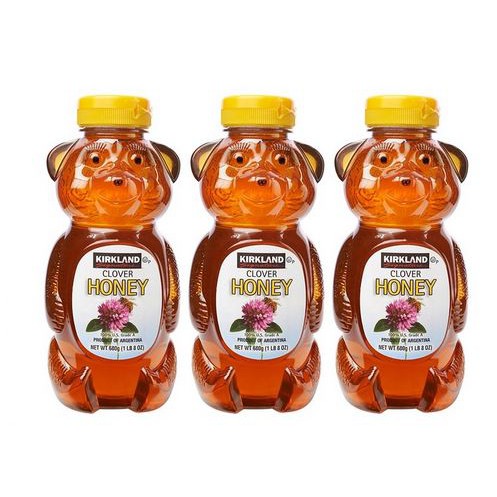 【小新代購】Costco好市多 科克蘭-小熊造型蜂蜜/原裝進口100%純蜂蜜(680g/瓶)#703761