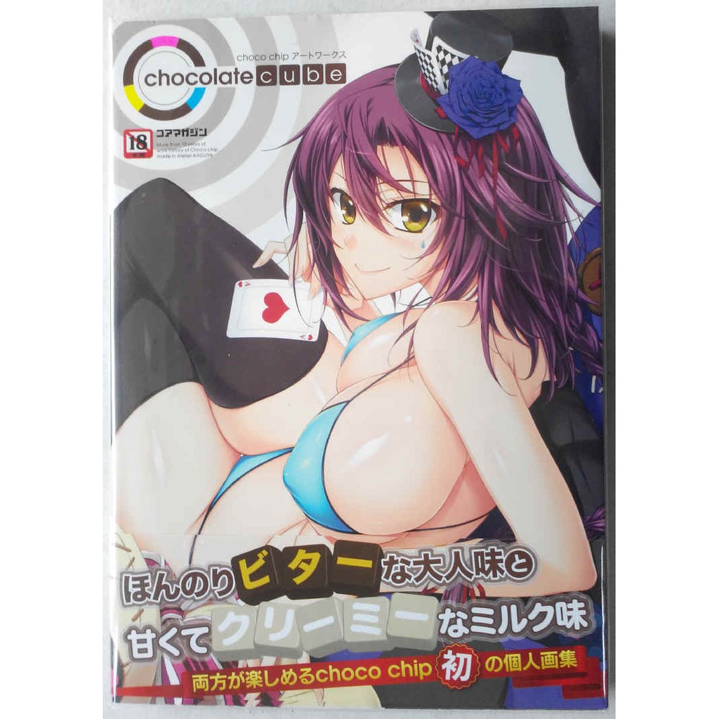 Choco Chip Art Works Chocolate Cube 姊汁 家庭教師的大姐姐畫冊畫集 蝦皮購物