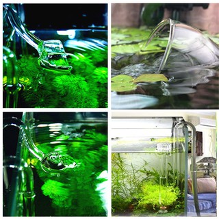 超白 玻璃 出水管 進水管 進出 入水管 除油膜 出水口進水口 百合 適 圓桶過濾器 軟管 外接 水草缸 魚缸 水族箱