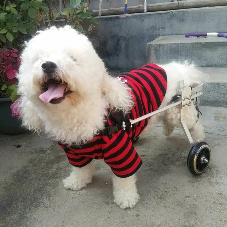 lin狗輪椅後肢癱瘓寵物代步車殘疾狗狗後腿輔助猫泰迪大型小型犬支架