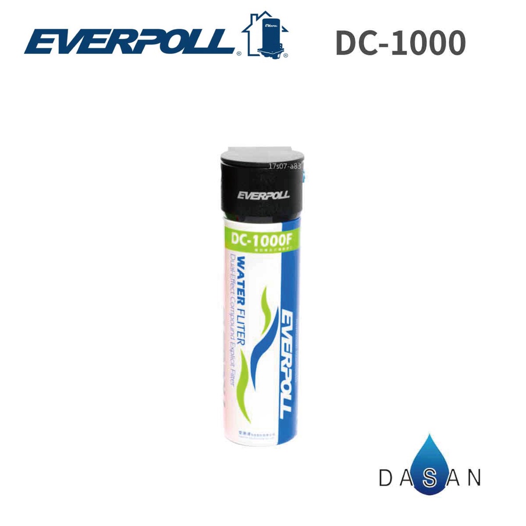 【EVERPOLL】DC-1000 DC1000 單道雙效複合式淨水器 不含龍頭 大山淨水