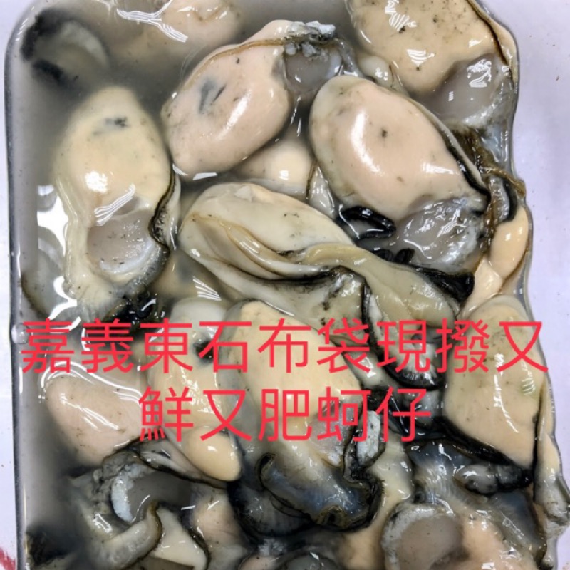 老蚵的價格推薦 21年10月 比價比個夠biggo