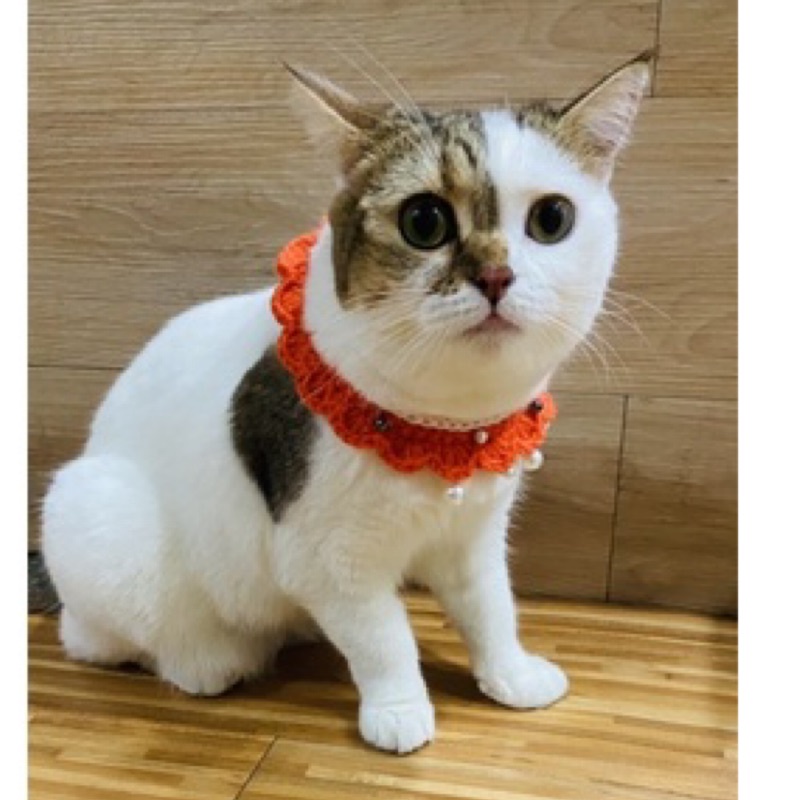 氣質橘 寵物領巾 鉤針 毛線 娃娃 吊飾 手作 客製化 寵物 禮物 貓 狗 寵物吊飾 寵物服裝 寵物商品
