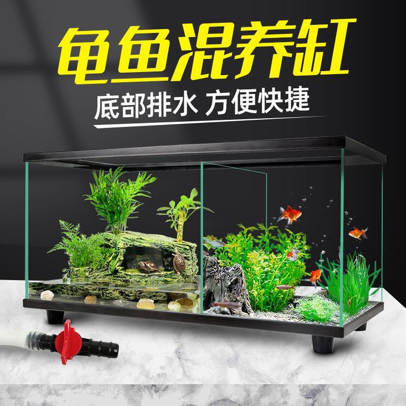 全新現貨免运 烏龜缸客廳小型魚龜混養生態缸造景金魚玻璃居家家用免換水魚缸 蝦皮購物