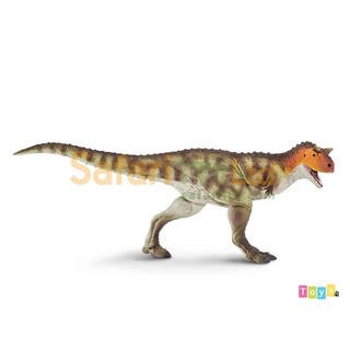 [美國Safari] 100310 牛龍模型