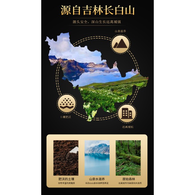 ディズニーコレクション [*山参*長白山珍品] | www.birbapet.it