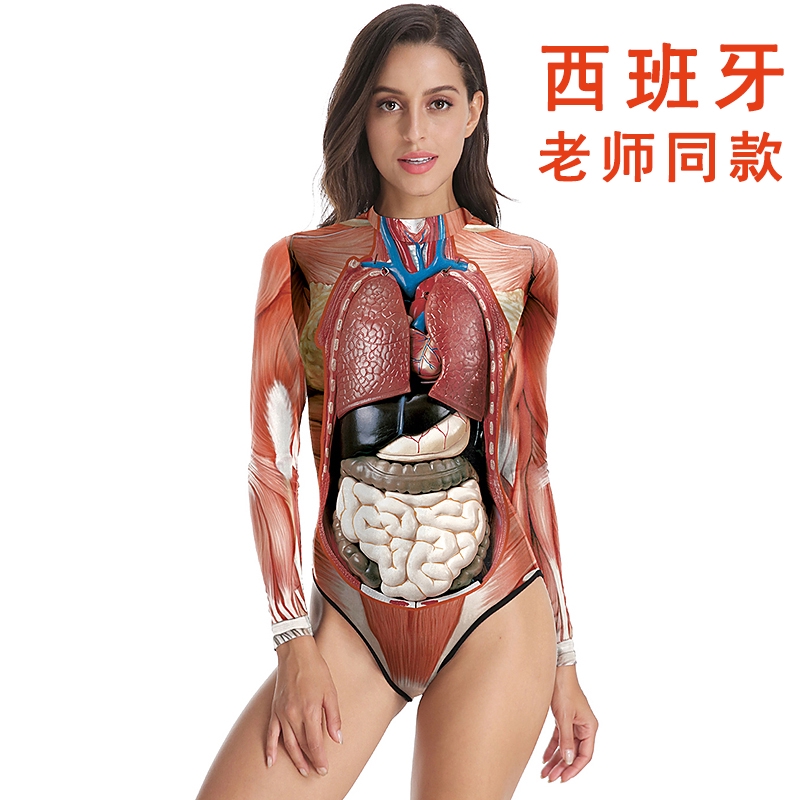 人體器官服西班牙女老師服裝同款3d教學道具肌肉解剖內臟結構衣服萬聖節肌肉服 蝦皮購物