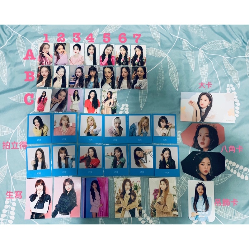 出清 Iz One Izone Heart Iz Bloom Iz 幻想日記演唱會員瑛小卡拍立得生寫 蝦皮購物