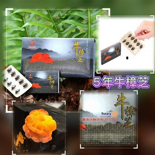 💞五年牛樟芝 5年牛樟芝椴木培育子實體 祐全生技 特級牛樟芝軟膠囊 60顆❤️採用珍貴5年牛樟芝子實體❤️