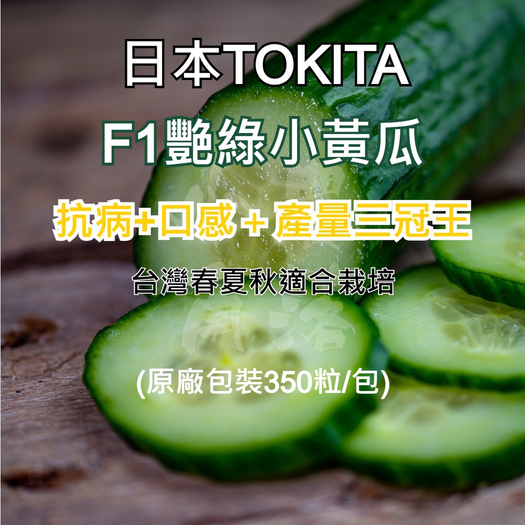 【現貨。不用再問】F1品種 日本TOKITA 小黃瓜種子 艷綠 原廠包裝(350粒/包) 小黃瓜 小胡瓜 日本品種