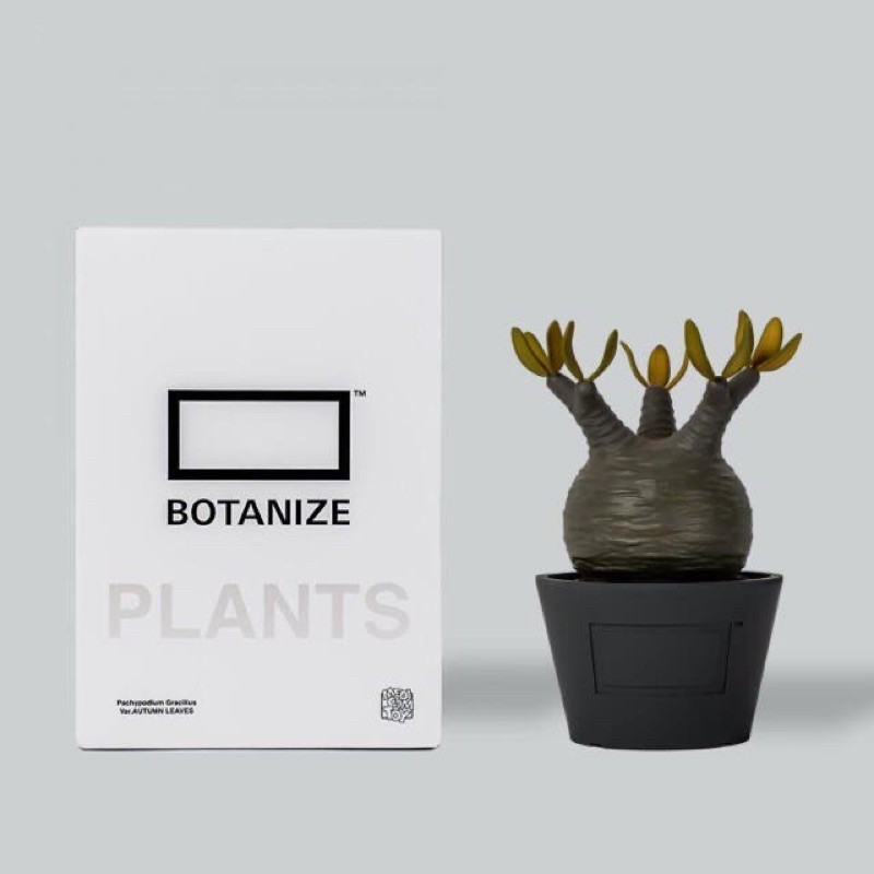 現貨 Botanize x Medicom toy日本潮流象牙宮公仔塊根NEIGHBORHOOD SRL