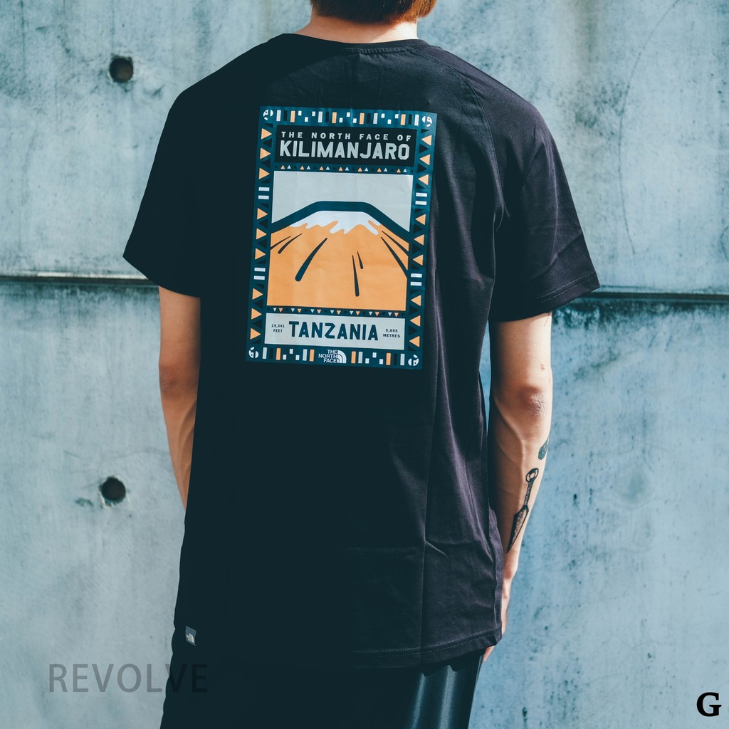 north face kilimanjaro t shirt